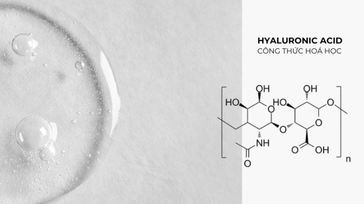 Hyaluronic Acid - HA - Polysaccharide