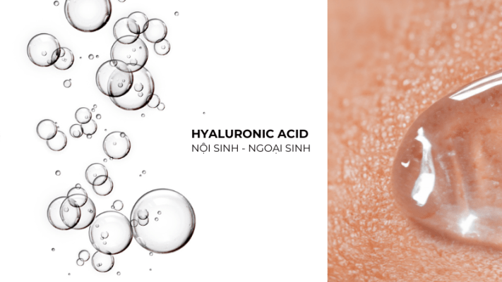 serum-hyaluronic-acid-6 Sự khác nhau giữa Hyaluronic Acid nội sinh và ngoại sinh